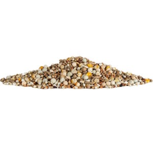 מזון ליונים 1 ק"ג